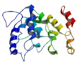 Family With Sequence Similarity 71, Member D (FAM71D)