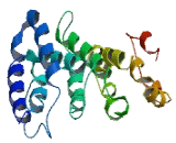 Family With Sequence Similarity 71, Member E1 (FAM71E1)