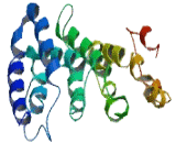 Family With Sequence Similarity 71, Member E2 (FAM71E2)