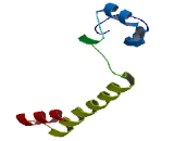 Family With Sequence Similarity 71, Member F1 (FAM71F1)