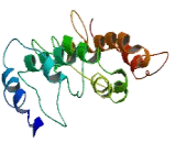 Family With Sequence Similarity 71, Member F2 (FAM71F2)