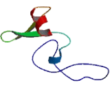 Family With Sequence Similarity 72, Member C (FAM72C)