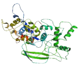 Family With Sequence Similarity 73, Member B (FAM73B)