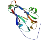 Family With Sequence Similarity 75, Member A2 (FAM75A2)