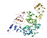 Family With Sequence Similarity 75, Member A4 (FAM75A4)