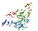 Family With Sequence Similarity 75, Member A5 (FAM75A5)