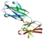 Family With Sequence Similarity 75, Member A6 (FAM75A6)