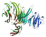 Family With Sequence Similarity 75, Member D1 (FAM75D1)