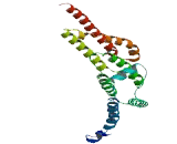 Family With Sequence Similarity 76, Member A (FAM76A)