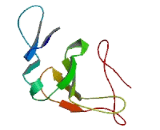 Family With Sequence Similarity 78, Member A (FAM78A)