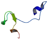 Family With Sequence Similarity 78, Member B (FAM78B)