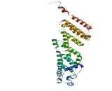 Family With Sequence Similarity 81, Member A (FAM81A)