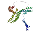 Family With Sequence Similarity 81, Member B (FAM81B)