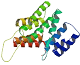 Family With Sequence Similarity 82, Member A1 (FAM82A1)