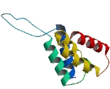 Family With Sequence Similarity 82, Member A2 (FAM82A2)