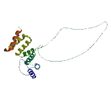 Family With Sequence Similarity 82, Member B (FAM82B)