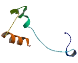 Family With Sequence Similarity 83, Member A (FAM83A)