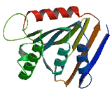 Family With Sequence Similarity 83, Member C (FAM83C)