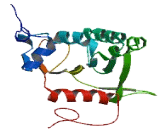 Family With Sequence Similarity 83, Member E (FAM83E)