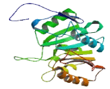 EEF2 Lysine Methyltransferase (EEF2KMT)