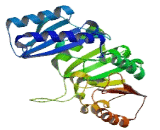 Family With Sequence Similarity 86, Member B1 (FAM86B1)