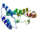 Family With Sequence Similarity 86, Member C (FAM86C)