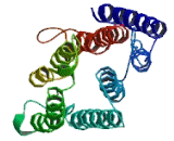 Family With Sequence Similarity 87, Member A (FAM87A)