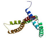 Family With Sequence Similarity 9, Member B (FAM9B)