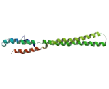 Family With Sequence Similarity 9, Member C (FAM9C)