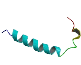 Family With Sequence Similarity 90, Member A13 (FAM90A13)