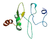 Family With Sequence Similarity 90, Member A14 (FAM90A14)