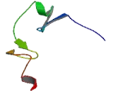 Family With Sequence Similarity 90, Member A16 (FAM90A16)