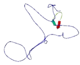 Family With Sequence Similarity 90, Member A19 (FAM90A19)