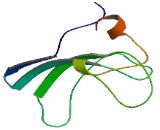 Family With Sequence Similarity 90, Member A20 (FAM90A20)