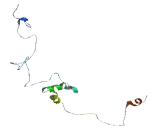 Family With Sequence Similarity 90, Member A7 (FAM90A7)