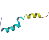 Family With Sequence Similarity 90, Member A8 (FAM90A8)