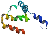 Family With Sequence Similarity 90, Member A9 (FAM90A9)