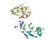 Family With Sequence Similarity 91, Member A1 (FAM91A1)