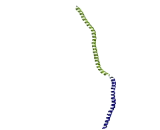 Family With Sequence Similarity 92, Member A1 (FAM92A1)