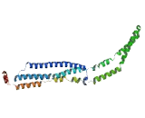 Family With Sequence Similarity 92, Member B (FAM92B)