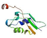 Family With Sequence Similarity 96, Member A (FAM96A)