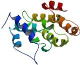 Family With Sequence Similarity 96, Member B (FAM96B)