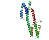 Family With Sequence Similarity 98, Member B (FAM98B)