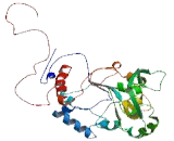 Family With Sequence Similarity 98, Member C (FAM98C)