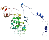 Fanconi Anemia Associated Protein 100kDa (FAAP100)