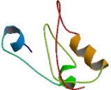 Fanconi Anemia Complementation Group M (FANCM)