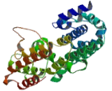 Farnesyl Diphosphate Farnesyltransferase 1 (FDFT1)