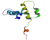 Farnesylated Protein Converting Enzyme 2 (FACE2)