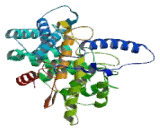 Farnesyltransferase Beta (FNTb)