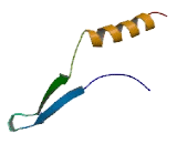 Fas Apoptotic Inhibitory Molecule 3 (FAIM3)